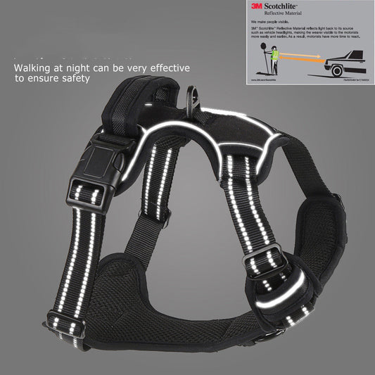 Why a harness, not a collar, for the car and the walk