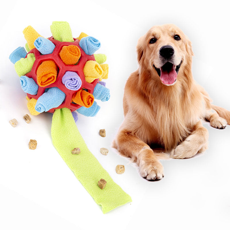 Bored, or under-stimulated? What enrichment does for a pet left alone