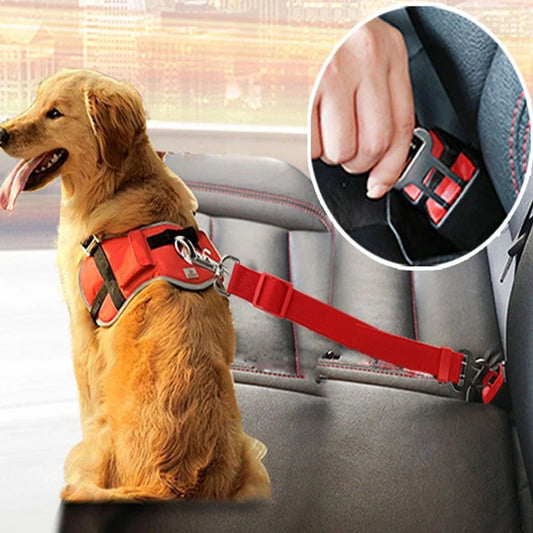 Car Seat Belt Restraint