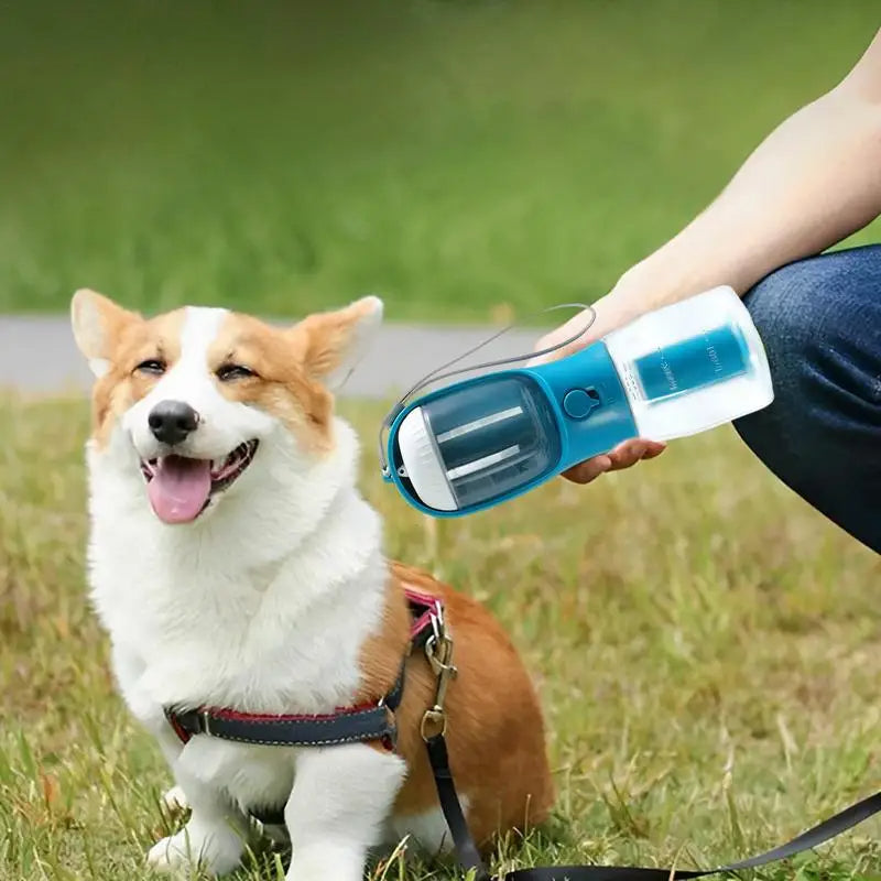 3-in-1 Travel Water Cup