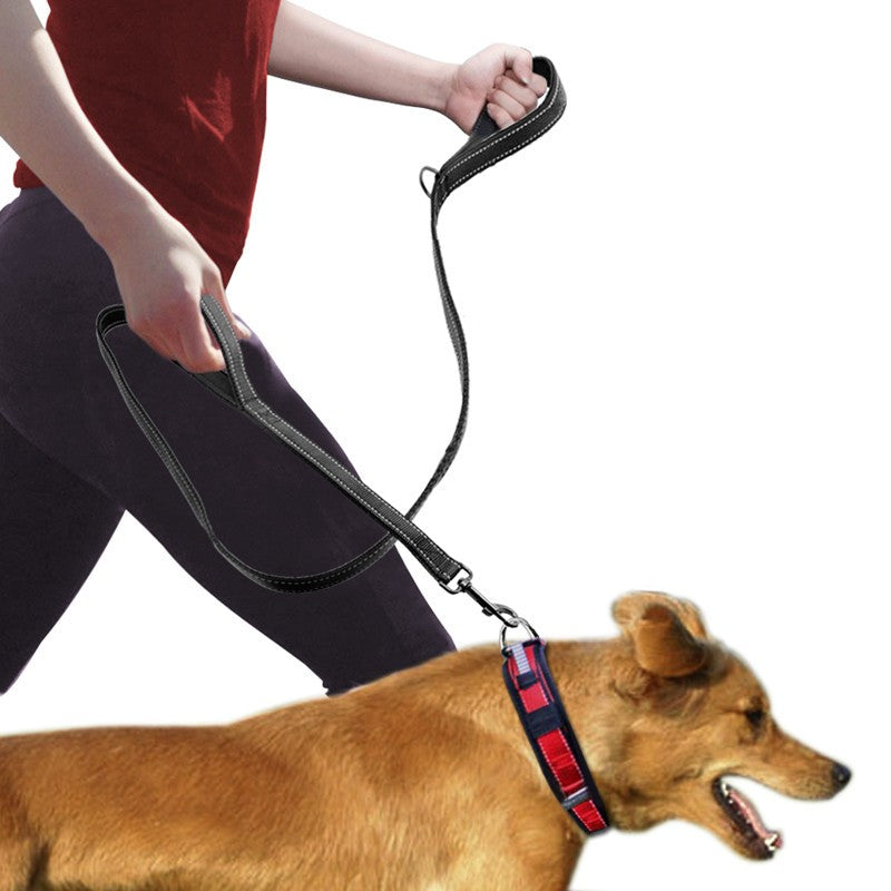 Double-Handle Leash