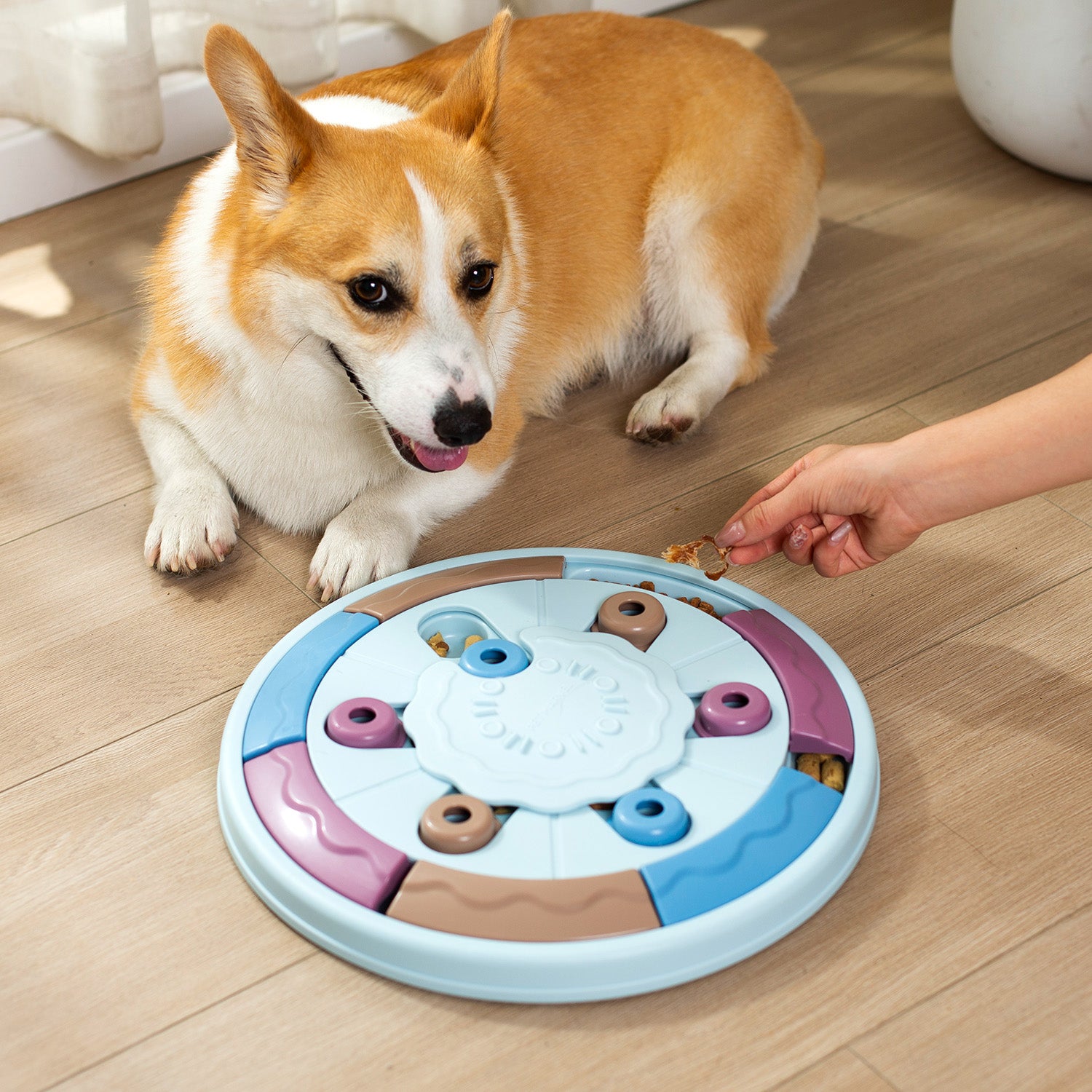Interactive Treat Puzzle